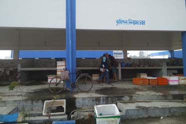 Auction Platform,Gosaba Krishak Bazar